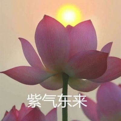 封神战纪游戏下载